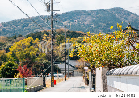 Japanese countryside village alley at spring in Mie, Japan 67214481