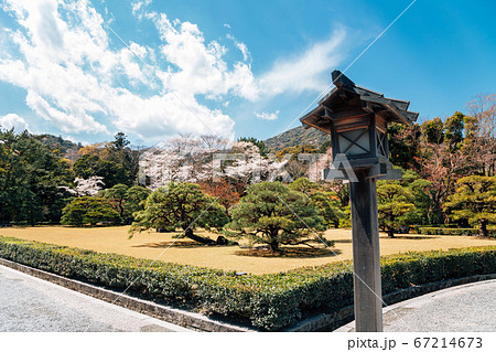 Spring garden scenery at Ise Grand Shrine Naiku in Mie, Japan Spring garden scenery at Ise Grand Shrine Naiku in Mie, Japan 67214673