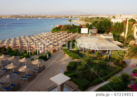beach in the egypt 67214851