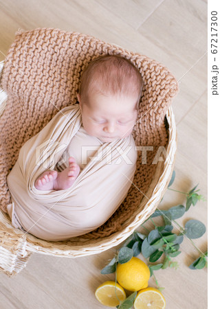 Cute little baby  with a toy bunny lies in a wicker basket decorated with greens and lemons in a beige knitted blanket. Summer mood. Happy healthy childhood 67217300