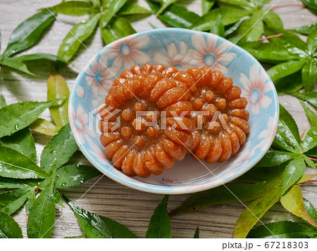 葉 薬と 薬菓 67218303