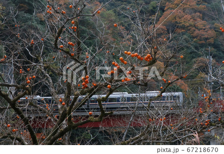 秋の武田尾 福知山線の207系電車 秋の武田尾 福知山線の207系電車 67218670