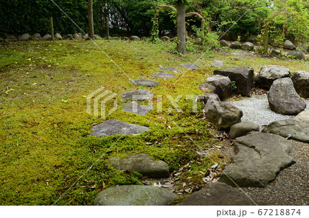 古代蓮の園・鳥取県淀江 古代蓮の園・鳥取県淀江 67218874