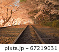蹴上インクライン桜のトンネル 67219031