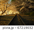 蹴上インクライン桜のトンネル 67219032