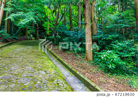 新緑の清賀山　油山観音　【福岡県福岡市城南区】 67219630