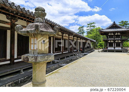 唐招提寺 境内に咲くハスの花々 唐招提寺 境内に咲くハスの花々 67220004