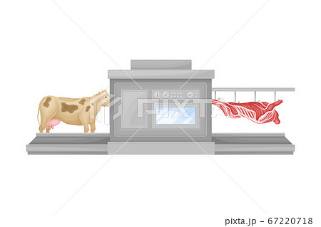 Metal Conveyor for Skinning Cow in Slaughterhouse Vector Illustration Metal Conveyor for Skinning Cow in Slaughterhouse Vector Illustration 67220718