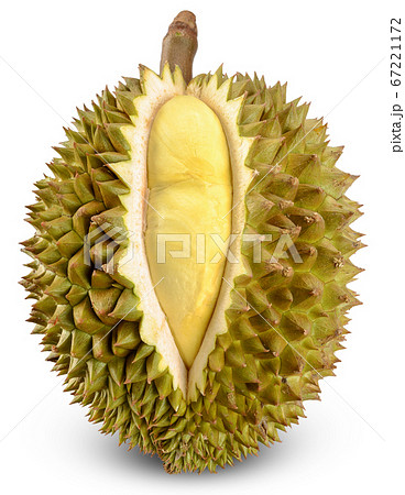 Durian isolated on white clipping path Durian isolated on white clipping path 67221172
