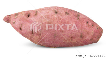 sweet potato isolated on white sweet potato isolated on white 67221175