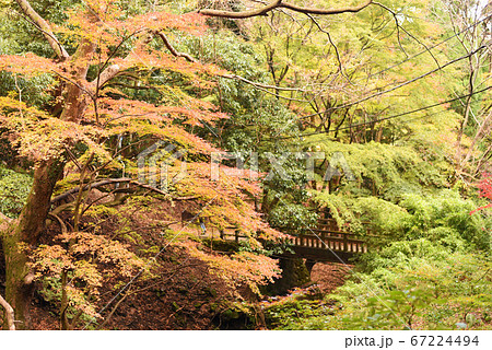 大山 女坂 大山 女坂 67224494
