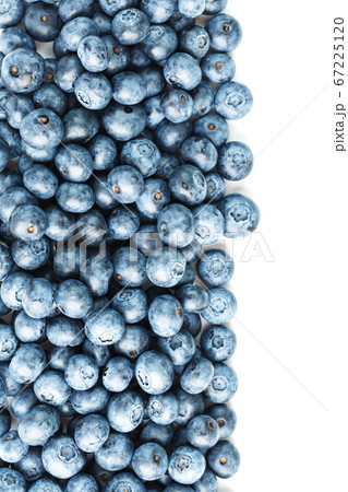 Blueberries are scattered on a white background. Free space, isolate. Studio light. 67225120