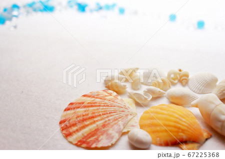 夏イメージ 浜辺の貝殻と水際の写真素材