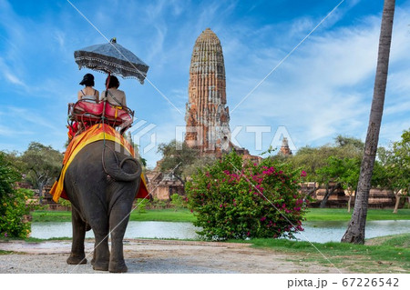 The Elephant for tourist service at Ayutthaya The Elephant for tourist service at Ayutthaya 67226542