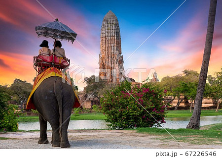 The Elephant for tourist service at Ayutthaya 67226546