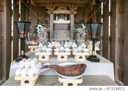 徳島県　春　東みよし町　加茂の大クスの祠 67228021