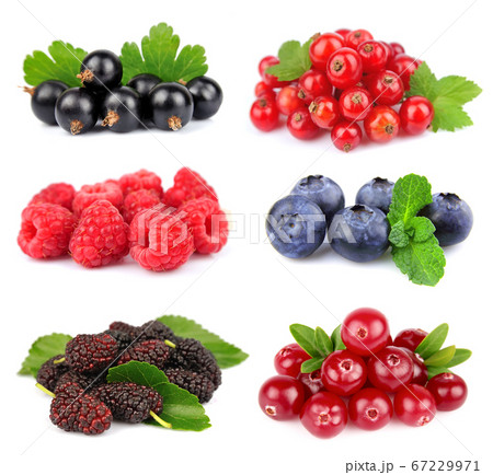 Collage of berry Collage of berry 67229971