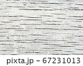 Texture of grunge wood background closeup 67231013