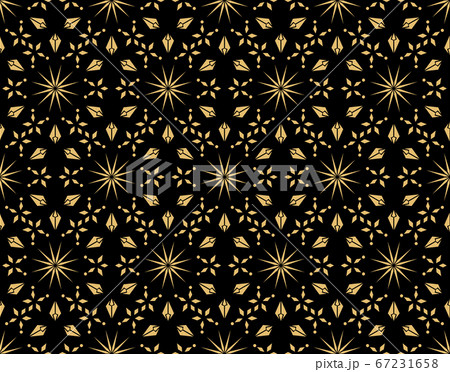Abstract geometric pattern with lines, snowflakes. 67231658