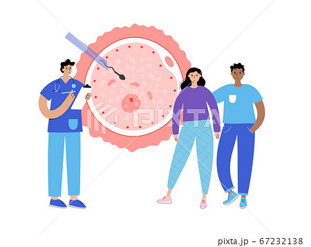 Reproductive system concept 67232138