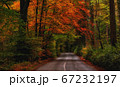 Cozy mountain road in golden autumn 67232197