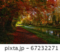 Cozy autumn trail with fiery tree crones 67232271