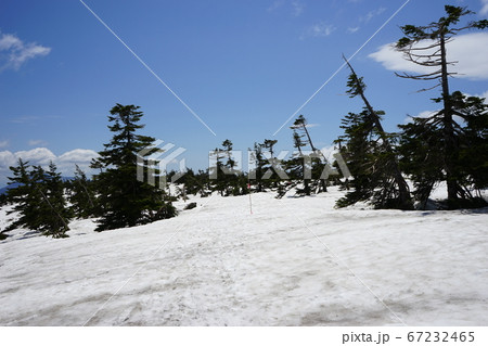 行ってみよう春の八幡平 遊歩道 行ってみよう春の八幡平 遊歩道 67232465
