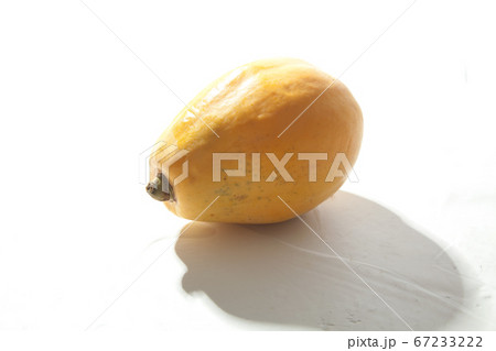 パパイヤ 67233222