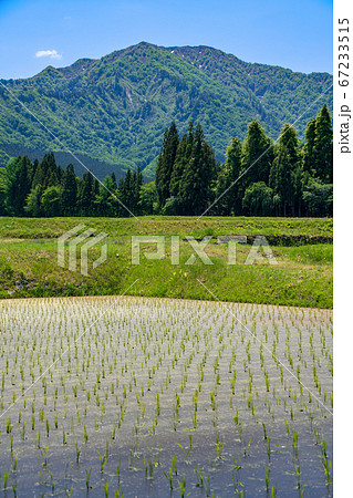 大源山麓の旭原付近から春山の景色 新潟県 大源山麓の旭原付近から春山の景色 新潟県 67233515
