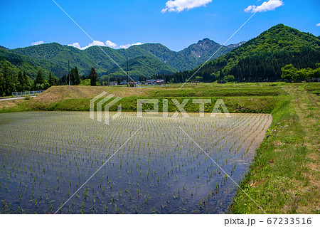 大源山麓から春山の景色 新潟県 大源山麓から春山の景色 新潟県 67233516