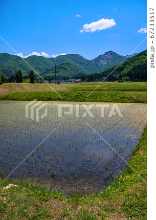大源山麓から春山の景色 新潟県 大源山麓から春山の景色 新潟県 67233517