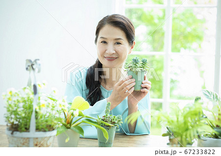 　花　植木鉢　ガーデニング 67233822