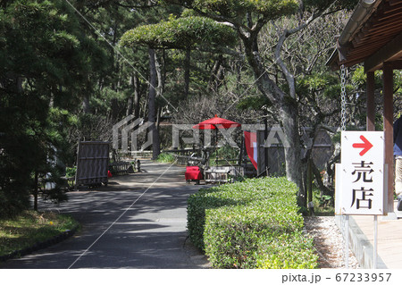 沼津市御用邸記念公園 沼津市御用邸記念公園 67233957
