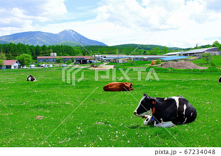 高原の牧場　その2007 67234048