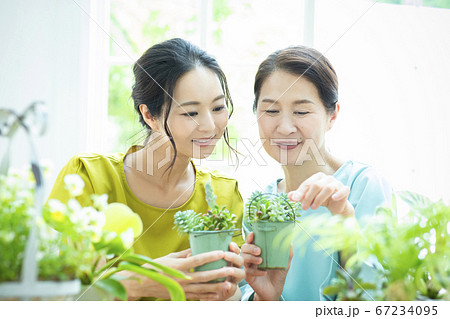 　花　植木鉢　ガーデニング 67234095