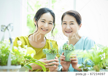 　花　植木鉢　ガーデニング 67234097