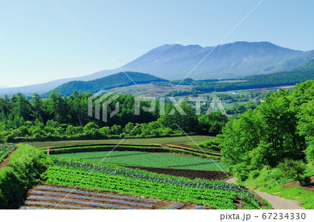 麗しき嬬恋村　その2007　：　　麗しき浅間山　その2007 67234330