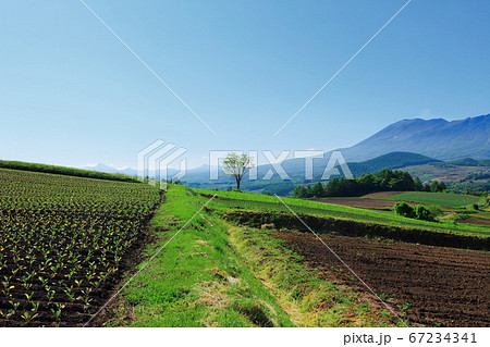 麗しき嬬恋村 その2007 : 麗しき浅間山 その2007 麗しき嬬恋村 その2007 : 麗しき浅間山 その2007 67234341