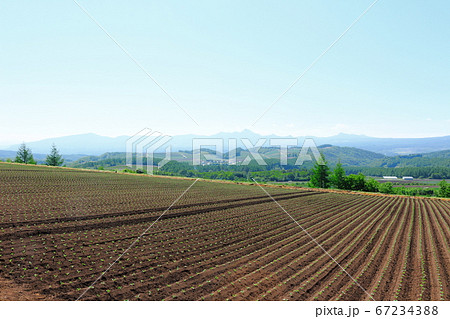麗しき嬬恋村　その2007　：　　麗しき浅間山　その2007 67234388