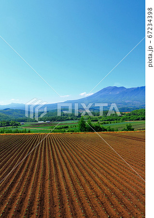 麗しき嬬恋村　その2007　：　　麗しき浅間山　その2007 67234398