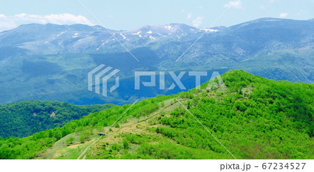 深山の風景 その2007 : 花と植物が織りなす風景 その2007 深山の風景 その2007 : 花と植物が織りなす風景 その2007 67234527