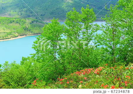 美しき野反湖 その2007 : 高原の湖 その2007 美しき野反湖 その2007 : 高原の湖 その2007 67234878