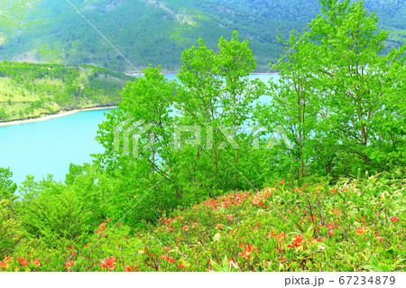 美しき野反湖　その2007　　：　　高原の湖　その2007 67234879