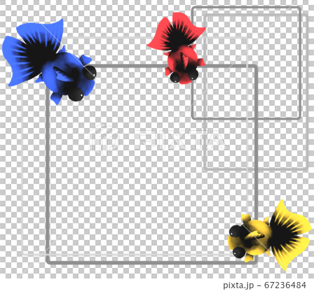 Goldfish frame (gray) Goldfish frame (gray) 67236484