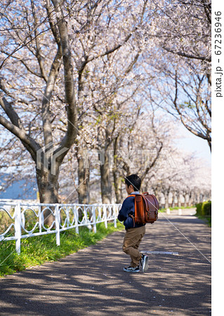 男の子 春 桜 ランドセル 男の子 春 桜 ランドセル 67236946