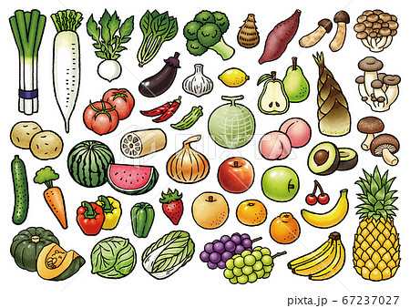 手描き野菜 果物ベクターイラストセットのイラスト素材