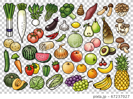 手描き野菜 果物ベクターイラストセットのイラスト素材