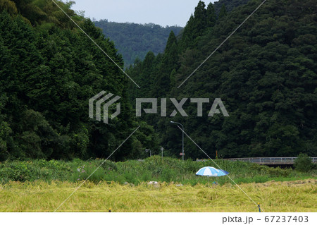 鳥取　四季の散歩　秋　不動滝 67237403