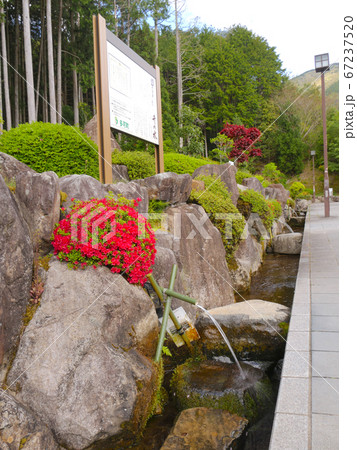「新松か井の水（しんまつかいのみず）」/新緑とツツジ /平成の名水百選」/播磨十水の名水 67237520