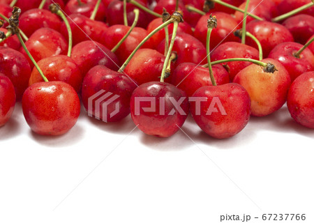さくらんぼ 紅秀峰 さくらんぼ 紅秀峰 67237766